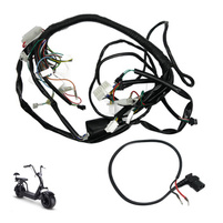 Instalacja elektryczna do skutera CP-1 / Velex / Bili Coco / City Coco